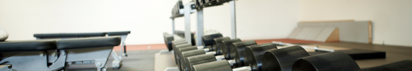 DUMBELLS